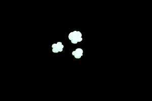 烟雾 爆炸 38