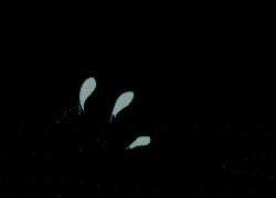 流汗 汗