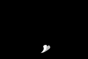烟雾 11