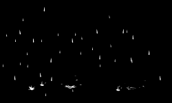 下雨 2