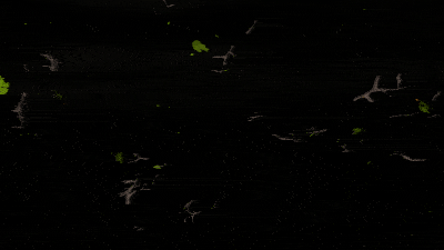 8d3d51e6d45c45adb41b739b9857e2bc.gif