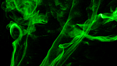 bc47ab5a0de44f0ba95fd004ff0f005f.gif