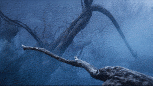 半夜野外恐怖树林乌鸦