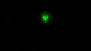 2款绿色毒药落下