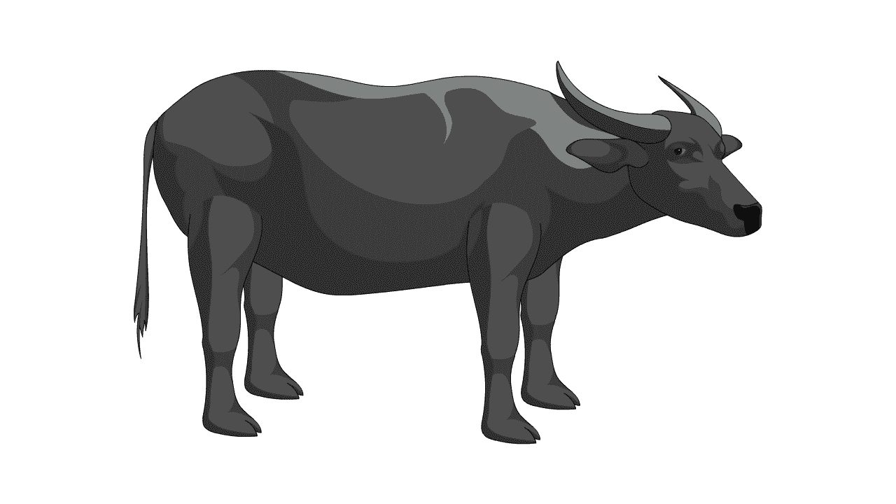 AN格式动物异兽，牛