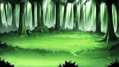 森林里的草地 11