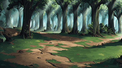 森林里的草地 15