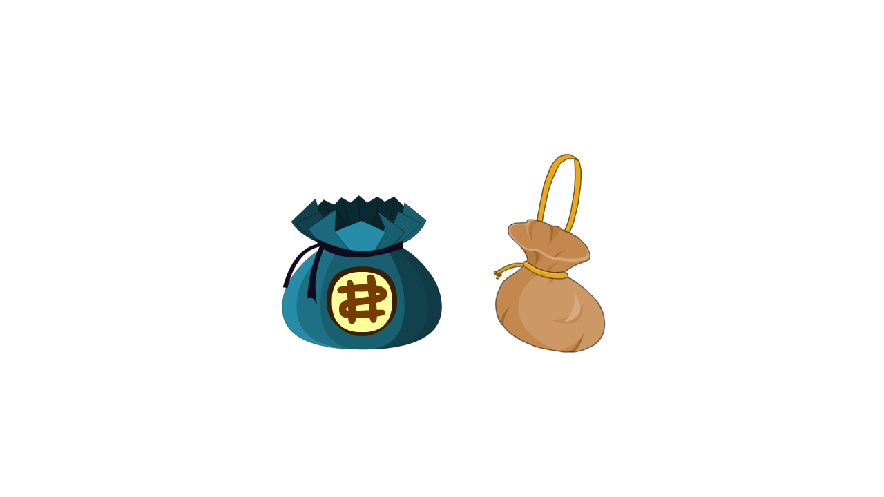 钱袋