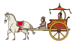 马车 5