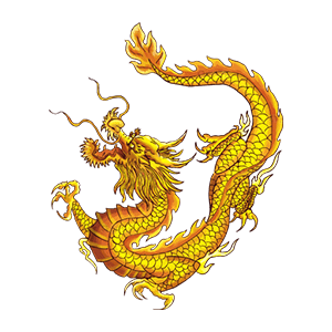 金龙图案