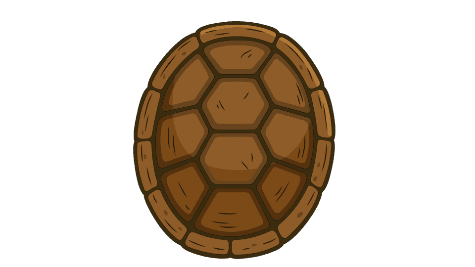 龟壳