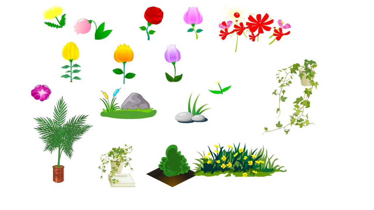 玫瑰花盆栽花草