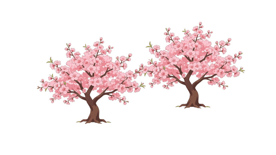 开花的桃树桃花