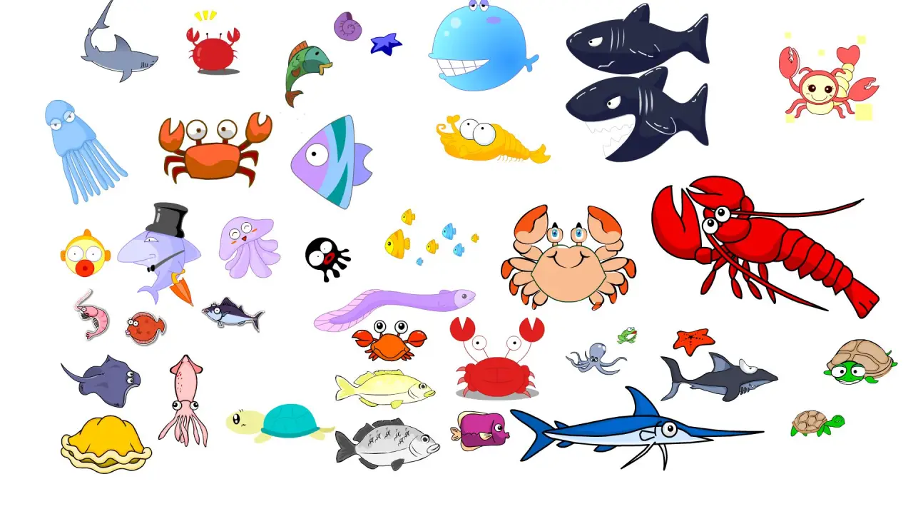 龙虾螃蟹海产合集