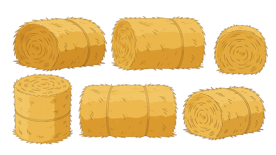 草垛草堆多视角