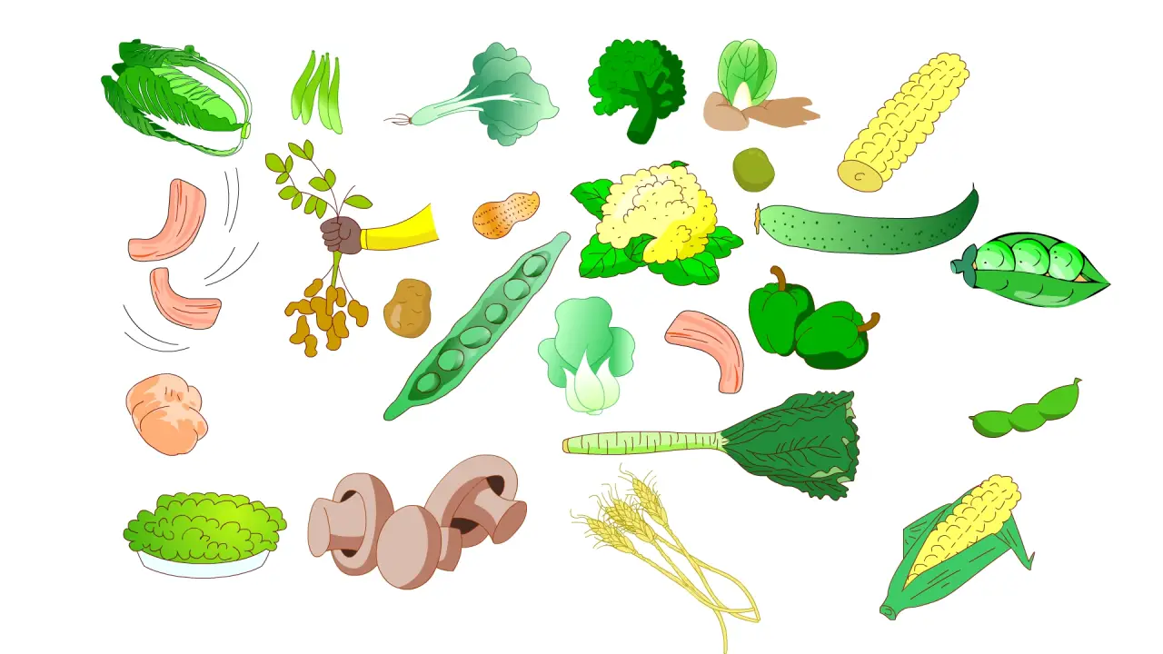 白菜玉米肉黄瓜土豆花生莴笋