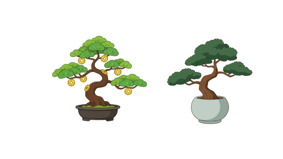 盆景盆栽发财树