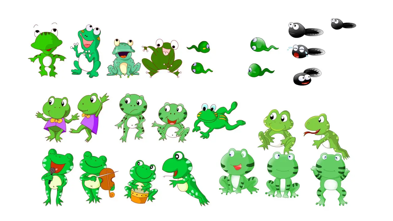 青蛙合集3