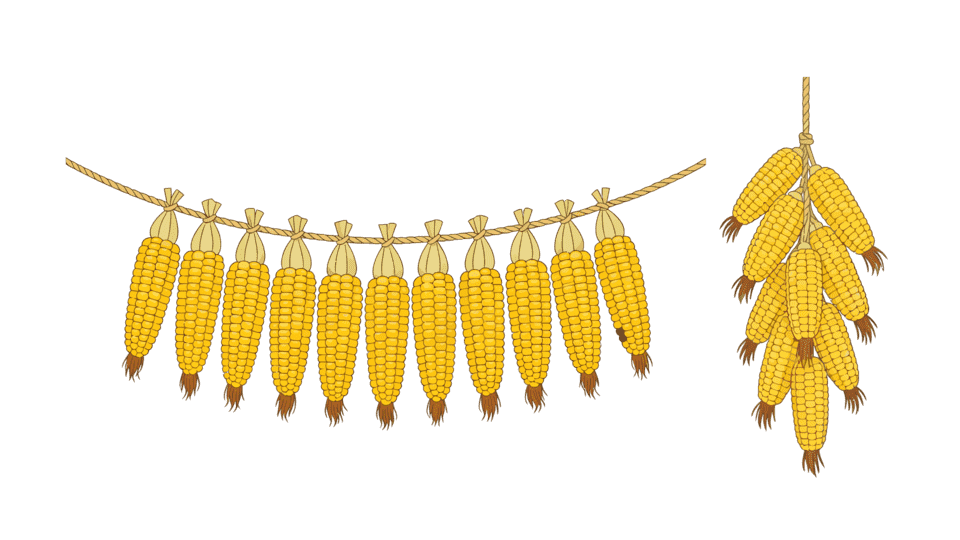 玉米串