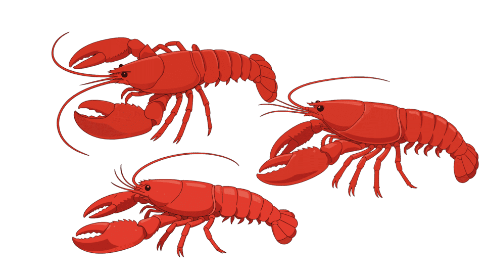 龙虾