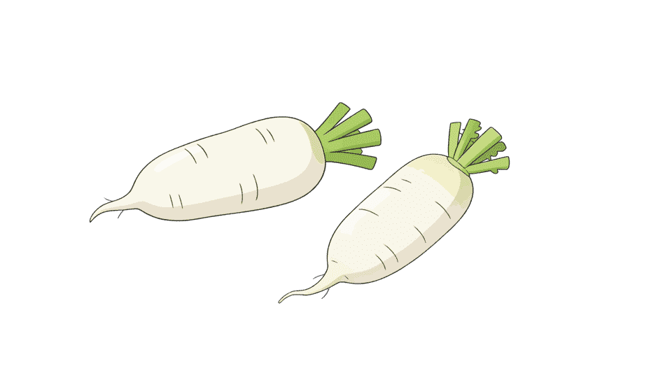 白萝卜