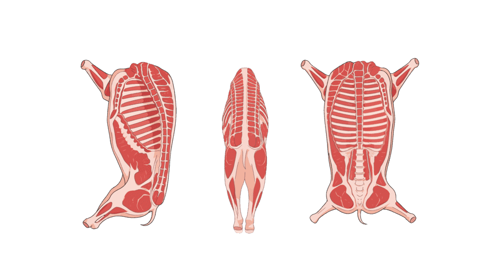 猪肉半只/整只猪