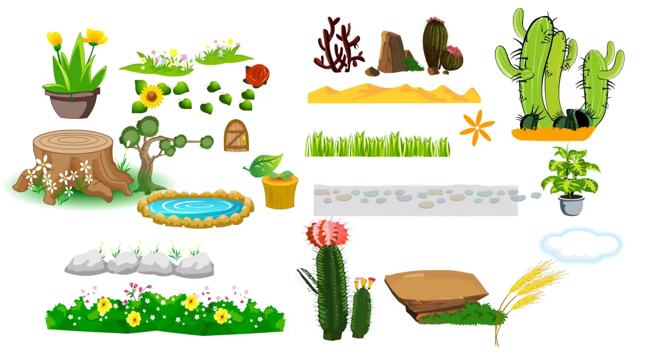 树桩仙人球麦穗