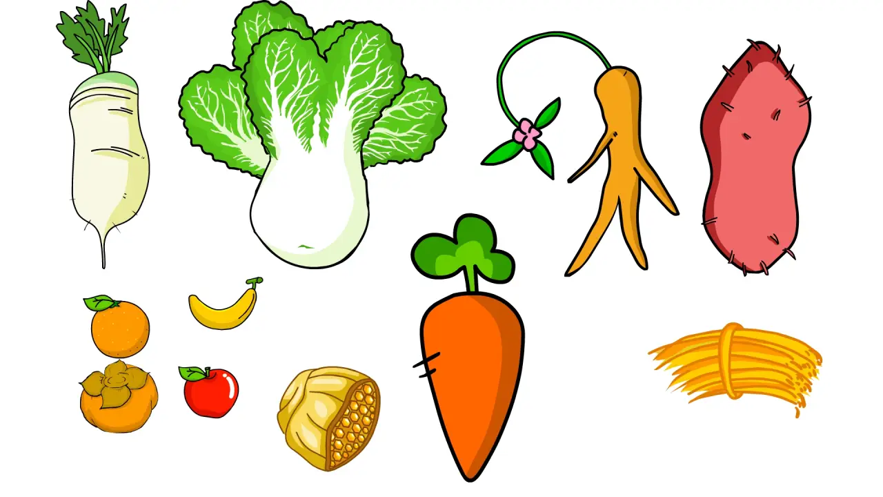 白菜萝卜红薯人参西红柿