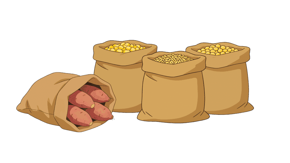 五谷杂粮黄豆红薯小麦