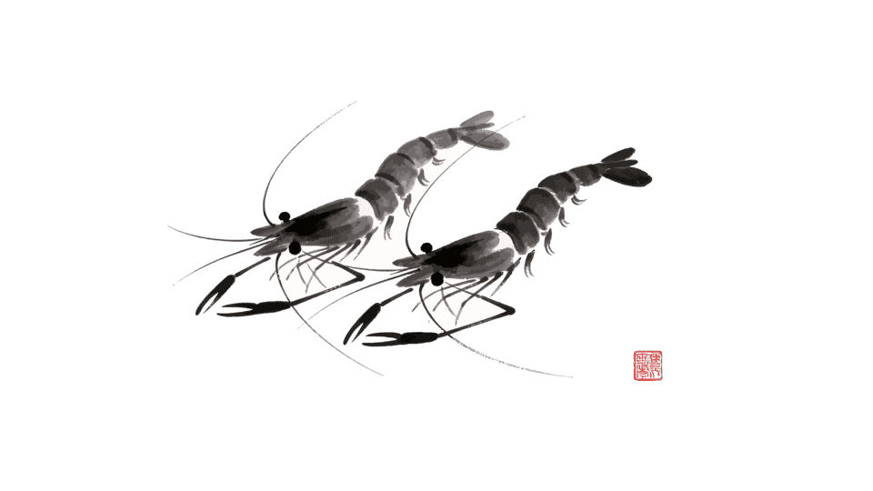 水墨画对虾