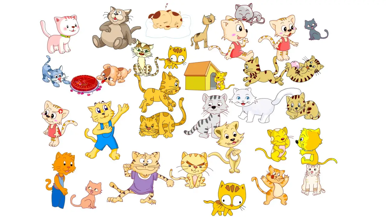 猫合集