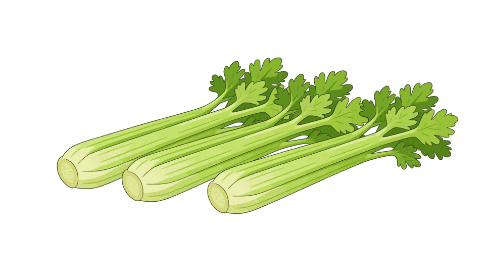 芹菜
