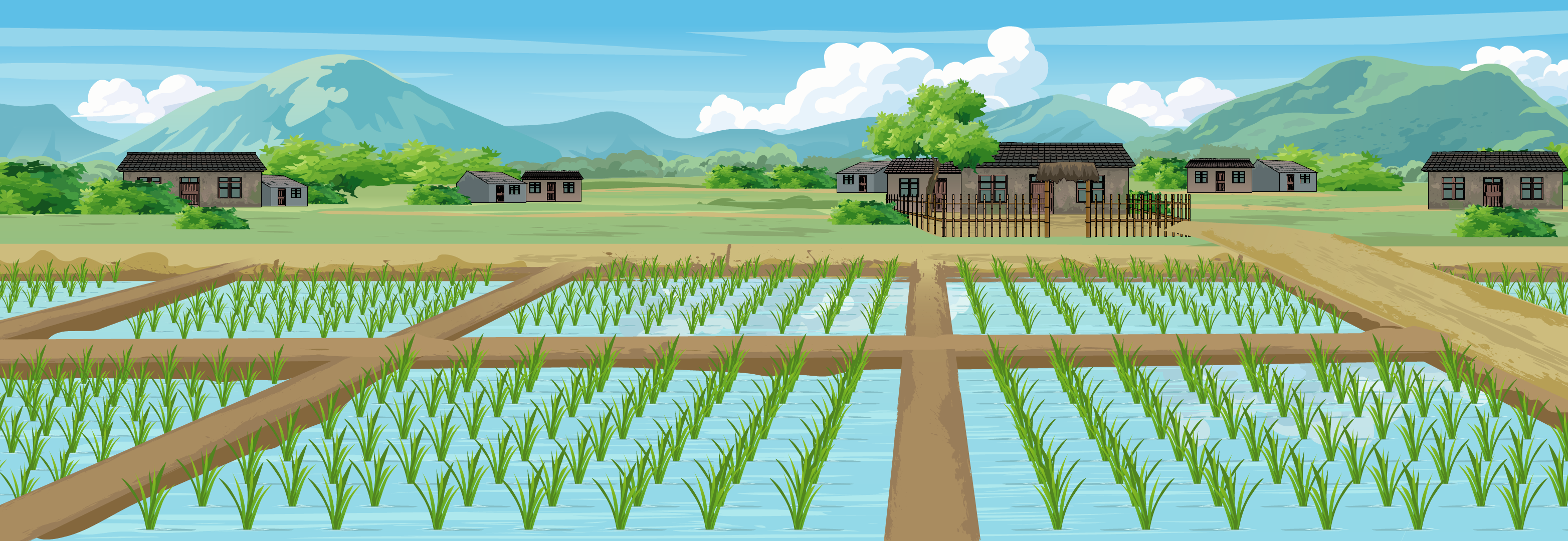 水田稻田（宽幅）