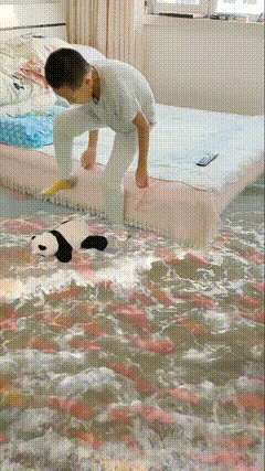 地面金鱼塘