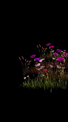 种花素材04黑
