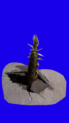 竹笋素材