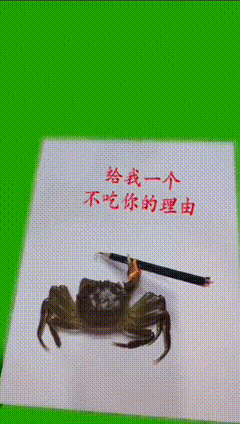 螃蟹写字素材2