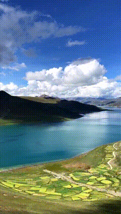风景
