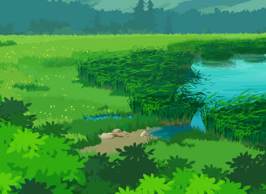 野外草地